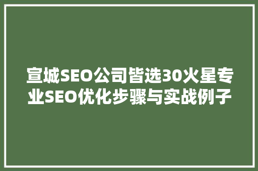 宣城SEO公司皆选30火星专业SEO优化步骤与实战例子