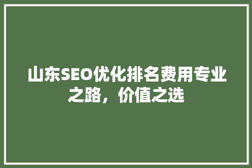 山东SEO优化排名费用专业之路，价值之选