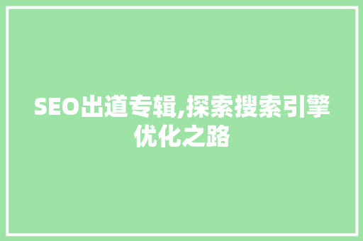 SEO出道专辑,探索搜索引擎优化之路  第1张