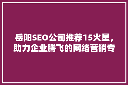 岳阳SEO公司推荐15火星，助力企业腾飞的网络营销专家