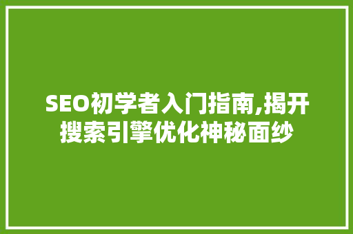 SEO初学者入门指南,揭开搜索引擎优化神秘面纱