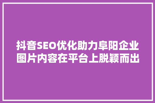 抖音SEO优化助力阜阳企业图片内容在平台上脱颖而出