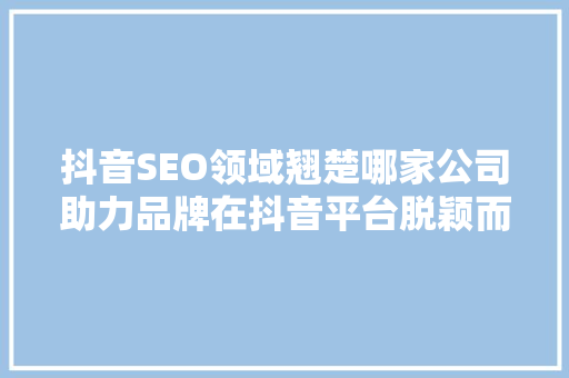 抖音SEO领域翘楚哪家公司助力品牌在抖音平台脱颖而出
