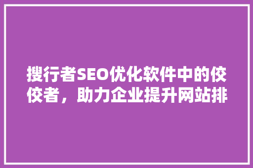 搜行者SEO优化软件中的佼佼者，助力企业提升网站排名