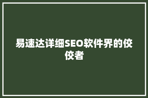 易速达详细SEO软件界的佼佼者