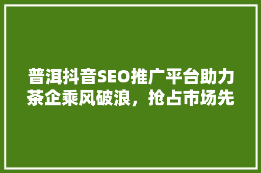 普洱抖音SEO推广平台助力茶企乘风破浪，抢占市场先机