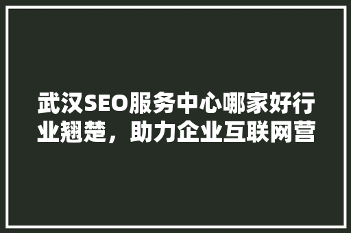 武汉SEO服务中心哪家好行业翘楚，助力企业互联网营销新篇章