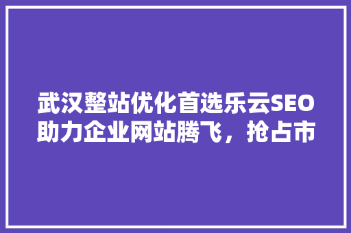武汉整站优化首选乐云SEO助力企业网站腾飞，抢占市场先机