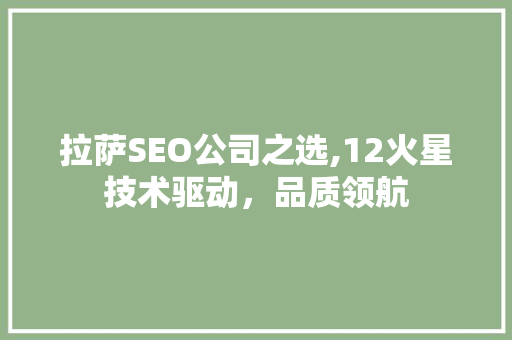拉萨SEO公司之选,12火星技术驱动，品质领航