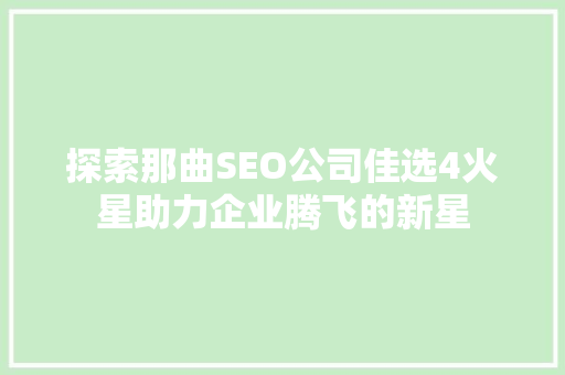 探索那曲SEO公司佳选4火星助力企业腾飞的新星