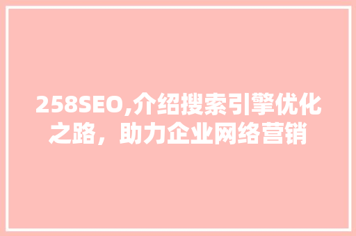 258SEO,介绍搜索引擎优化之路，助力企业网络营销  第1张