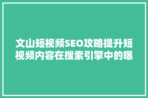 文山短视频SEO攻略提升短视频内容在搜索引擎中的曝光率