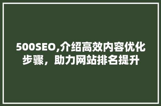 500SEO,介绍高效内容优化步骤，助力网站排名提升