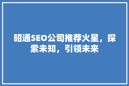 昭通SEO公司推荐火星，探索未知，引领未来
