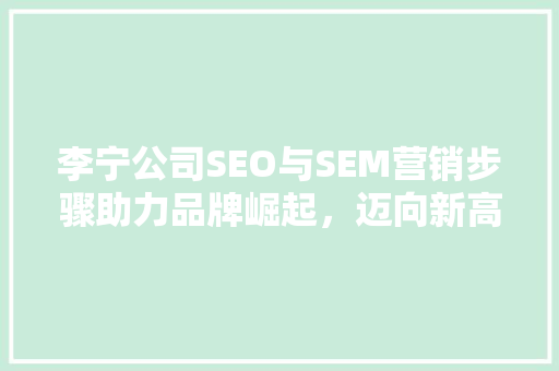 李宁公司SEO与SEM营销步骤助力品牌崛起，迈向新高度