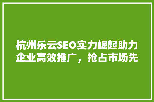 杭州乐云SEO实力崛起助力企业高效推广，抢占市场先机