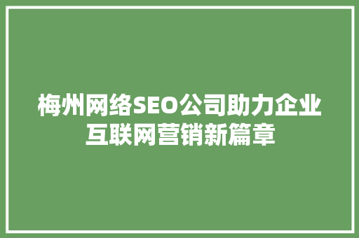 梅州网络SEO公司助力企业互联网营销新篇章
