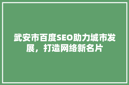武安市百度SEO助力城市发展，打造网络新名片