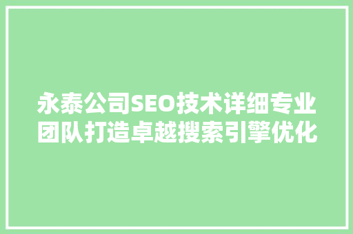 永泰公司SEO技术详细专业团队打造卓越搜索引擎优化步骤