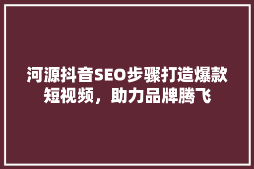 河源抖音SEO步骤打造爆款短视频，助力品牌腾飞