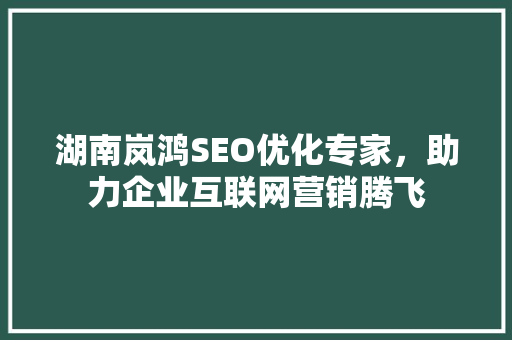 湖南岚鸿SEO优化专家，助力企业互联网营销腾飞