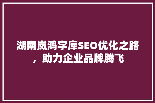湖南岚鸿字库SEO优化之路，助力企业品牌腾飞