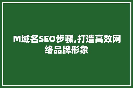 M域名SEO步骤,打造高效网络品牌形象