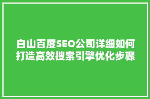 白山百度SEO公司详细如何打造高效搜索引擎优化步骤