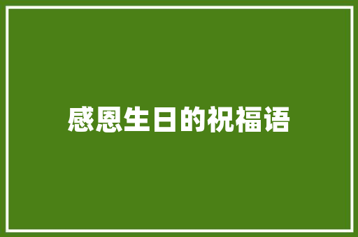 省心SEO推广轻松实现网站首页排名提升之路