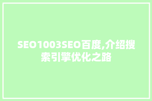 SEO1003SEO百度,介绍搜索引擎优化之路