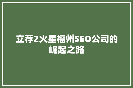 立荐2火星福州SEO公司的崛起之路