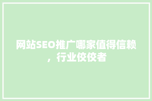 网站SEO推广哪家值得信赖，行业佼佼者