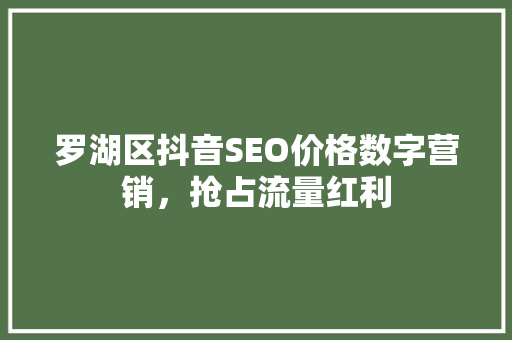 罗湖区抖音SEO价格数字营销，抢占流量红利