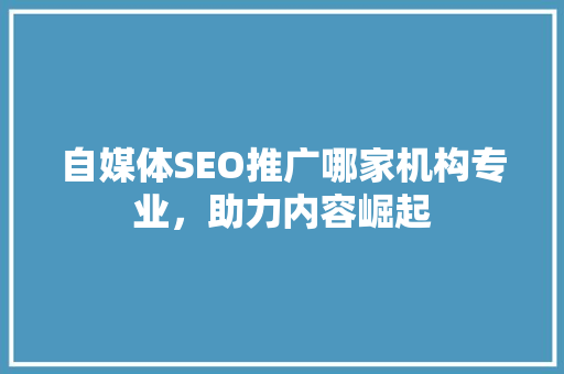 自媒体SEO推广哪家机构专业，助力内容崛起