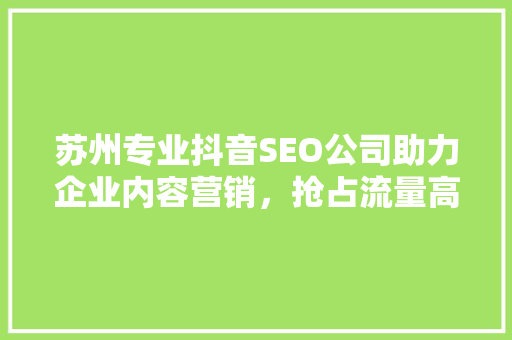 苏州专业抖音SEO公司助力企业内容营销，抢占流量高地