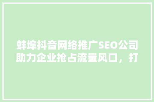 蚌埠抖音网络推广SEO公司助力企业抢占流量风口，打造品牌新高度