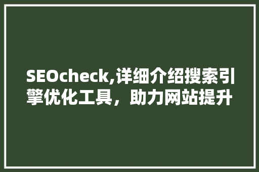 SEOcheck,详细介绍搜索引擎优化工具，助力网站提升排名  第1张