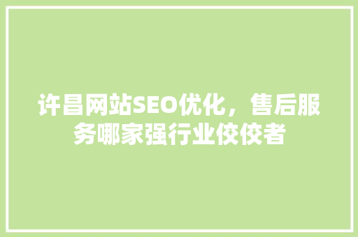 许昌网站SEO优化，售后服务哪家强行业佼佼者