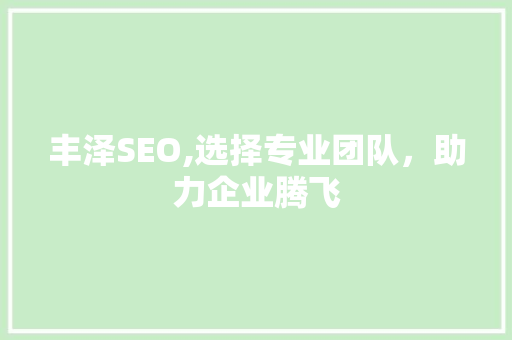 丰泽SEO,选择专业团队，助力企业腾飞