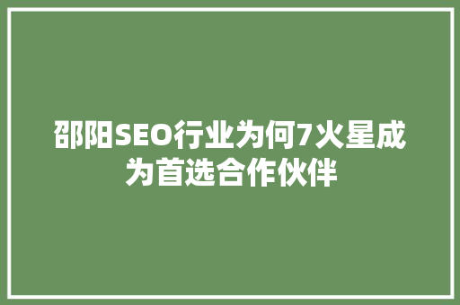 邵阳SEO行业为何7火星成为首选合作伙伴