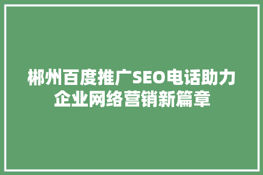 郴州百度推广SEO电话助力企业网络营销新篇章