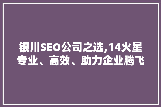 银川SEO公司之选,14火星专业、高效、助力企业腾飞