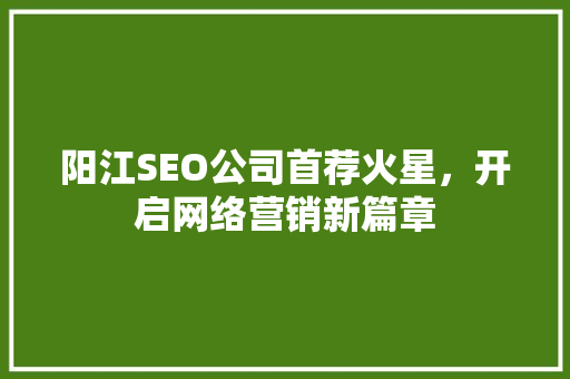 阳江SEO公司首荐火星，开启网络营销新篇章