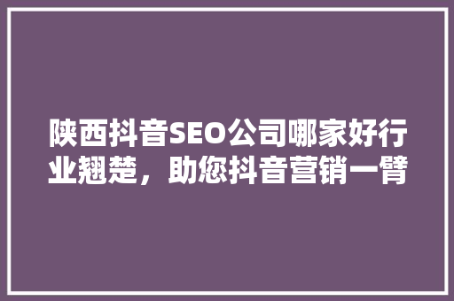 陕西抖音SEO公司哪家好行业翘楚，助您抖音营销一臂之力