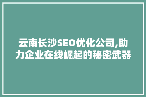 云南长沙SEO优化公司,助力企业在线崛起的秘密武器