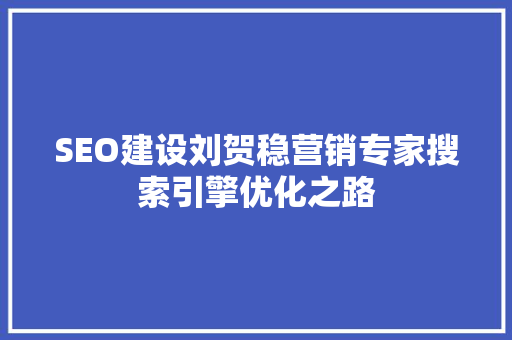 SEO建设刘贺稳营销专家搜索引擎优化之路