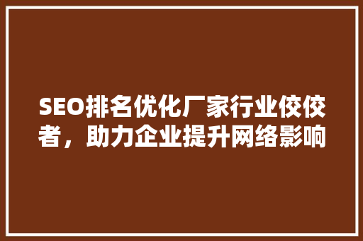 SEO排名优化厂家行业佼佼者，助力企业提升网络影响力