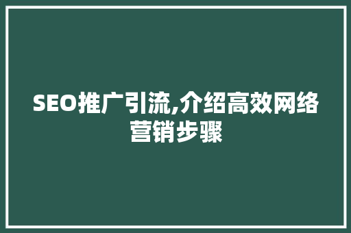SEO推广引流,介绍高效网络营销步骤  第1张