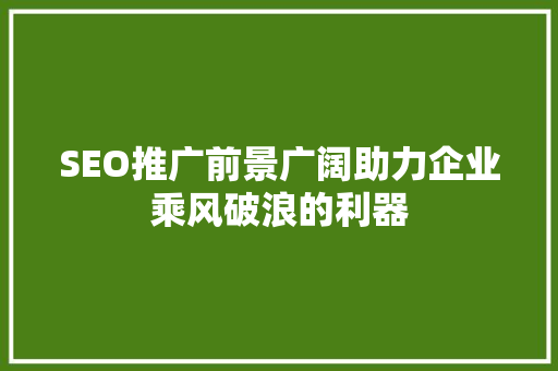 SEO推广前景广阔助力企业乘风破浪的利器