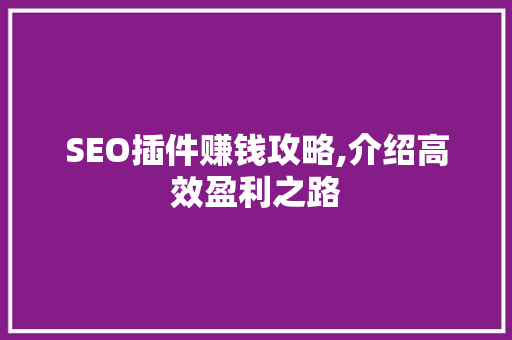 SEO插件赚钱攻略,介绍高效盈利之路
